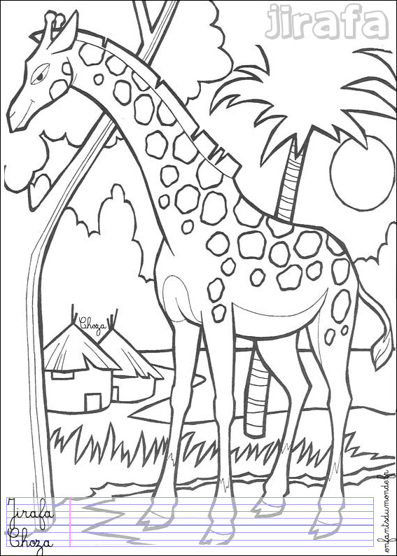 coloriage girafe 1 .. Coloriages Animaux de la jungle en espagnol